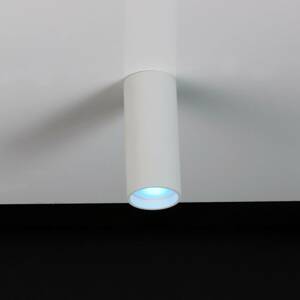 LUTEC LED stropní bodové světlo Stag, CCT a RGBW, bílá
