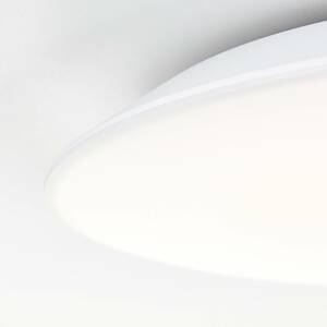 Brilliant LED stropní světlo Colden bílá on/off Ø 29 cm