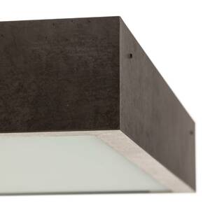 Argon Stropní světlo Tromsö, 50x50 cm, betonově šedá