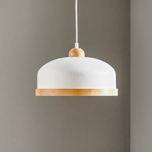 Eko-Light Závěsné světlo Studio, dřevěný dekor 1 zdroj bílá