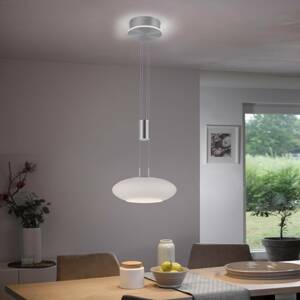 Q-Smart-Home Paul Neuhaus Q-ETIENNE LED závěsné světlo 1 zdroje